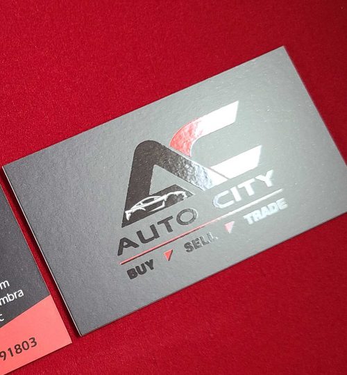 BC_AutoCity02